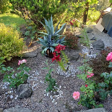 홈스테이 Marco Świętoszówka